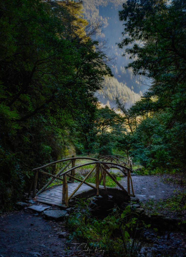 Wooden trail