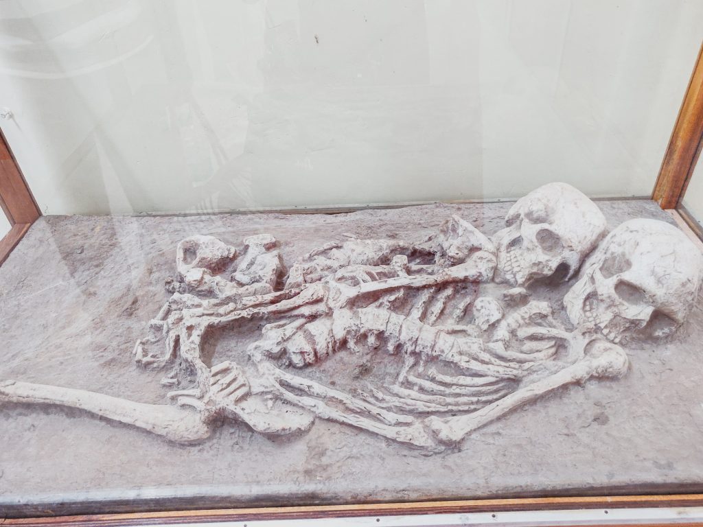 Twin skeleton of Lothal