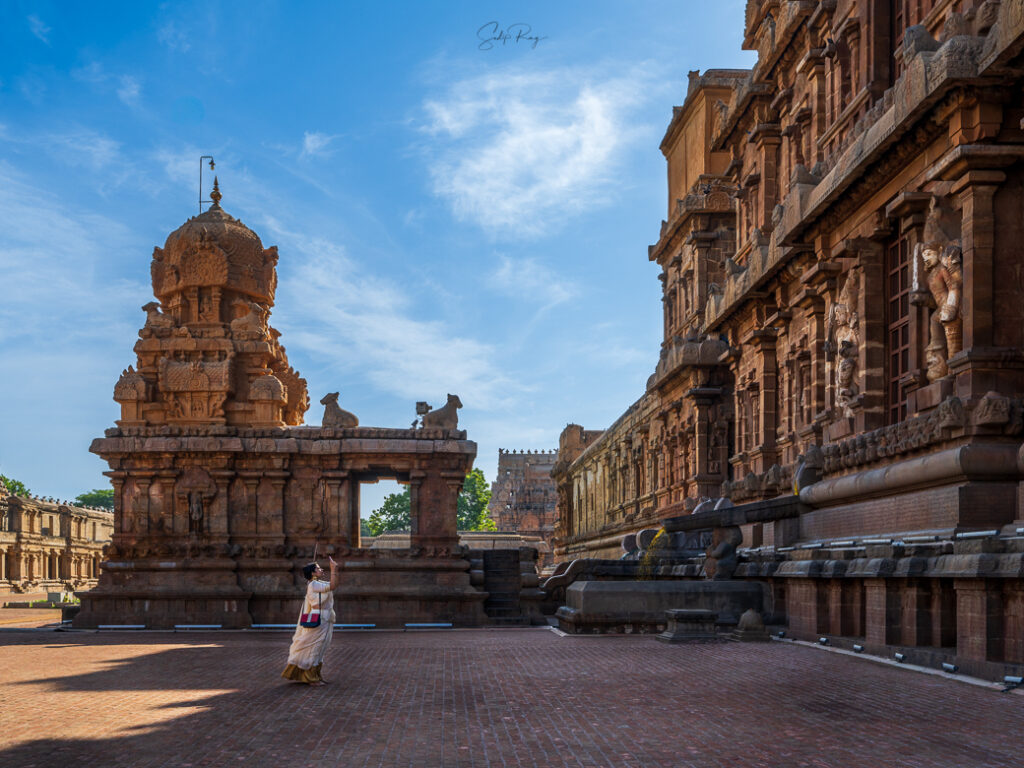 Admiring the Great Living Chola Temples