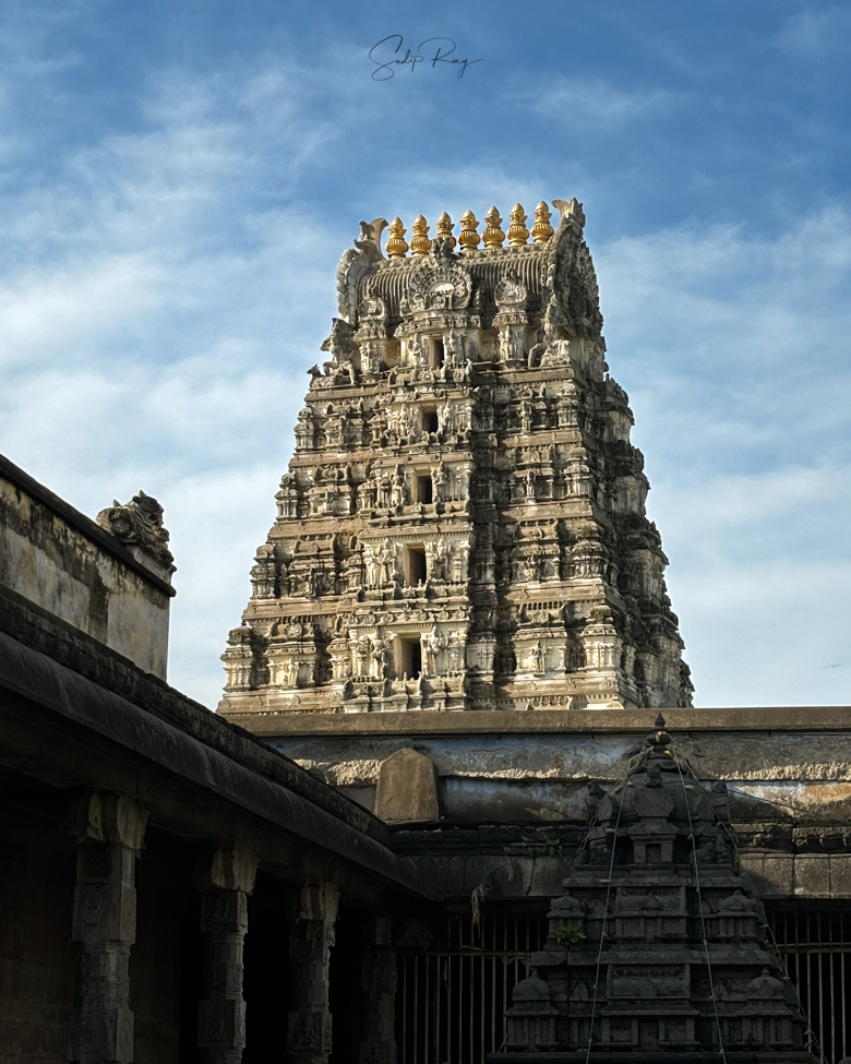 Soaring Gopuram