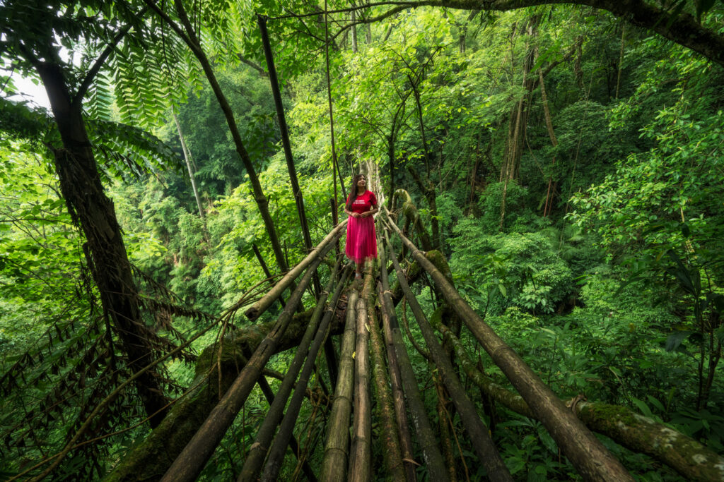 Living Root Bridge of Rangthylliang