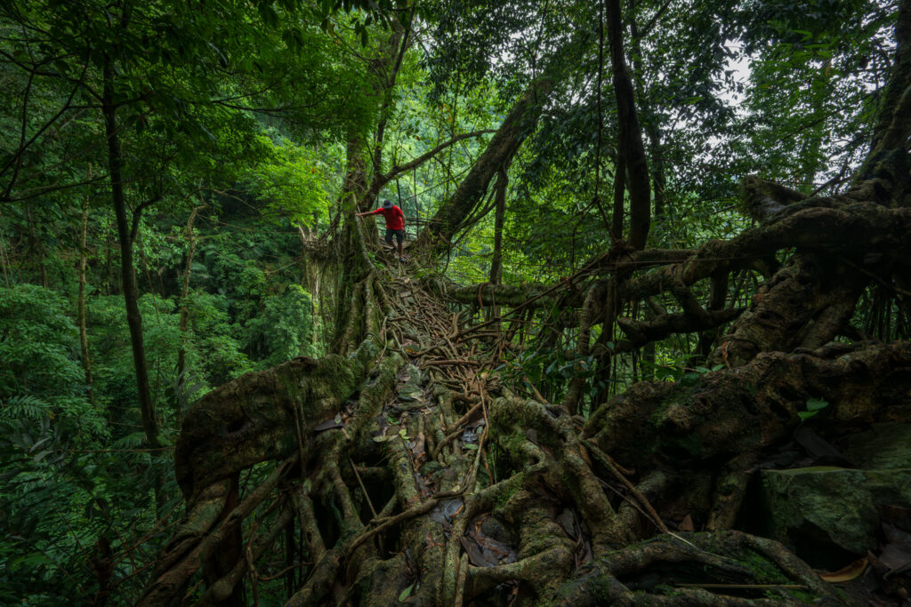 Landscape of Meghalaya