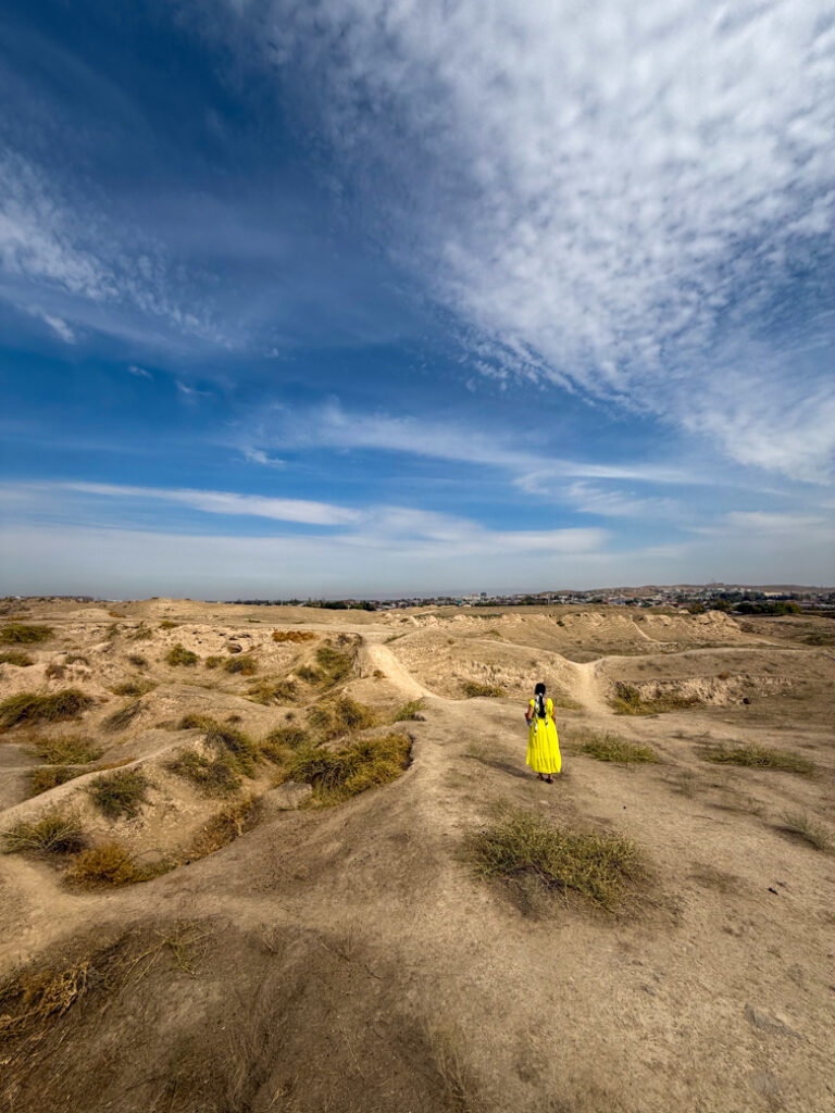 The archaeological site